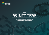 Agility Trap Survey