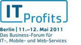 Logo IT Profits