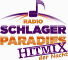 Logo Hitmix der Nacht