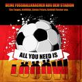 Das Album enthält 16 Stadionsongs