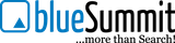 Logo blueSummit