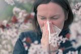 Luftreiniger gegen Allergien durch Pollen