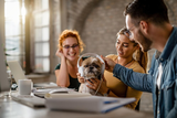 Team kreativer Geschaeftskollegen, die sich amuesieren, whrend sie einem Hund im Bro Kopfhrer aufsetzen