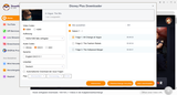 StreamFab Disney Plus Downloader Anleitung 3.png