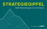 website-b2b-strategiegipfel-project-networks-2022.jpg