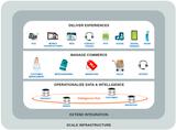 Demandware Digital Commerce Management