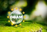 Beschaffung ohne CBAM-Stress: FACTUREE entlastet Einkäufer vollständig von der Compliance